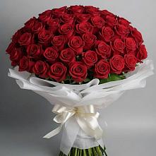 Букет 101 Красная роза Блэк Мэджик в Бирюсинске