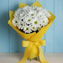 Букет цветов из:  Хризантемы в Бирюсинске
