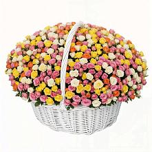 Премиум букет из: Розы в Бирюсинске