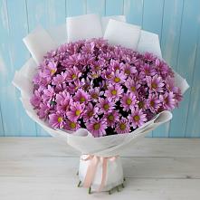 Букет цветов из:  Хризантемы #REPLACE_PRED# Бирюсинске