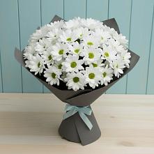 Букет цветов из:  Хризантемы #REPLACE_PRED# Бирюсинске