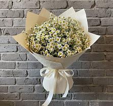 Букет цветов из:  Ромашки #REPLACE_PRED# Бирюсинске