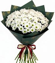 Букет цветов из:  Хризантемы #REPLACE_PRED# Бирюсинске