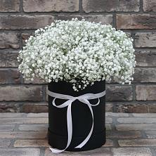 Цветочная композиция из Гипсофила в шляпной коробке в Бирюсинске