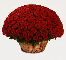 Премиум букет из: Розы в Бирюсинске