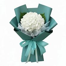 Букет цветов из:  Гортензия в Бирюсинске